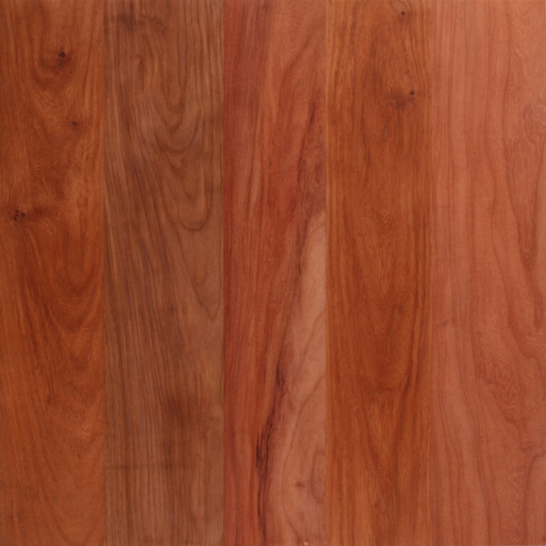 New Guinea Rosewood